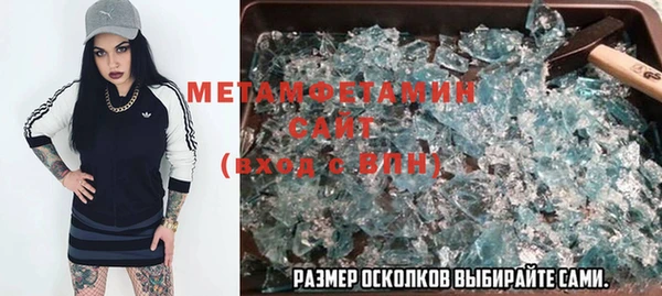 хмурый Бикин