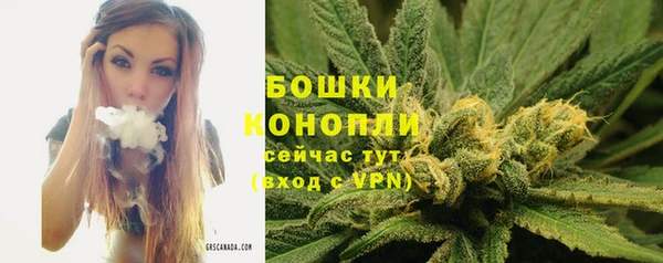 прущие крисы Нягань