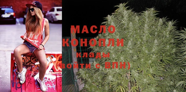 дмт Билибино