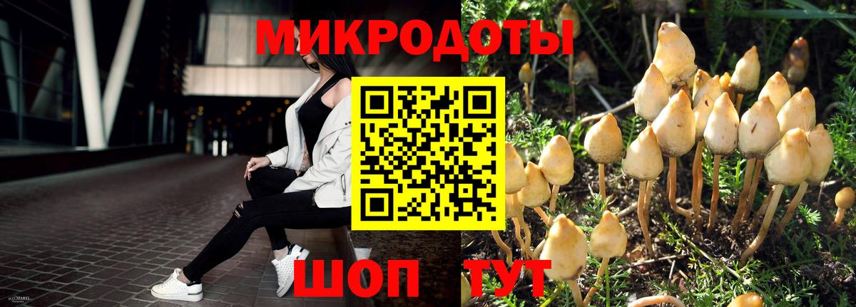 Псилоцибиновые грибы мухоморы Ирбит