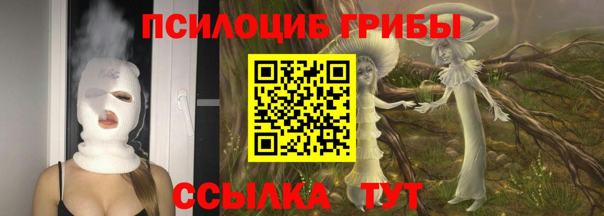 Ирбит  Псилоцибиновые грибы MAGIC MUSHROOMS  Вход с VPN 